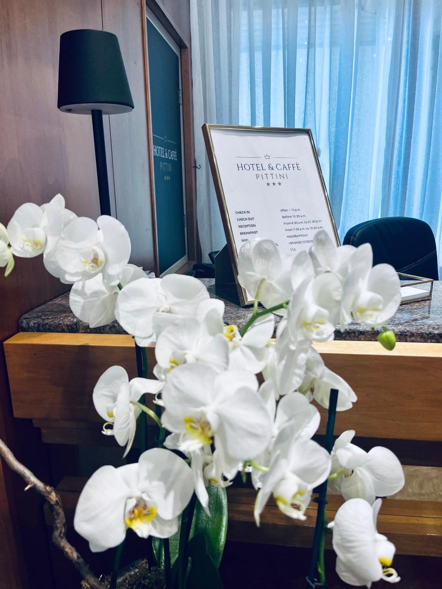Hotel Pittini Gemona del Friuli Eksteriør bilde
